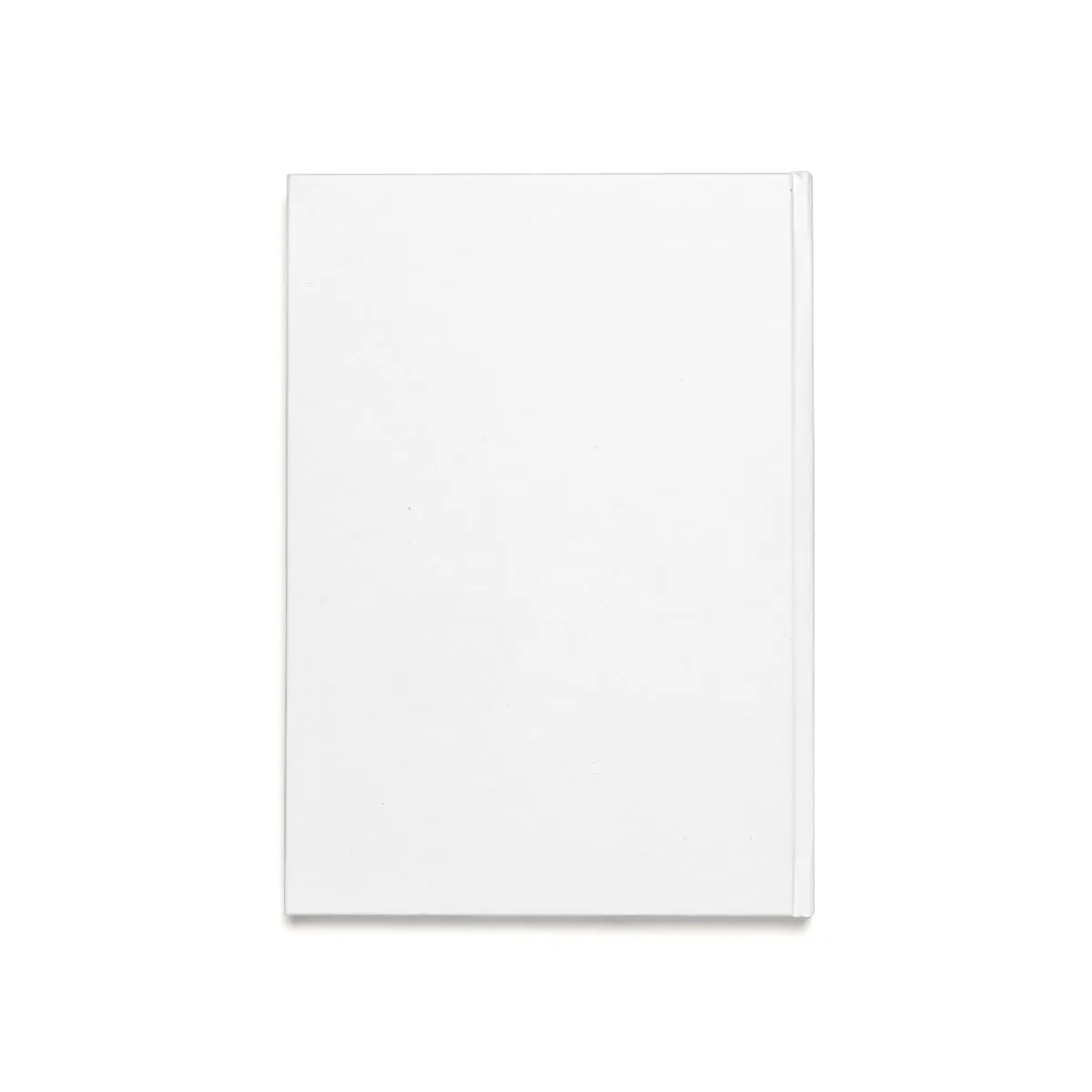 22 Calibur Hardcover Journal (A5)