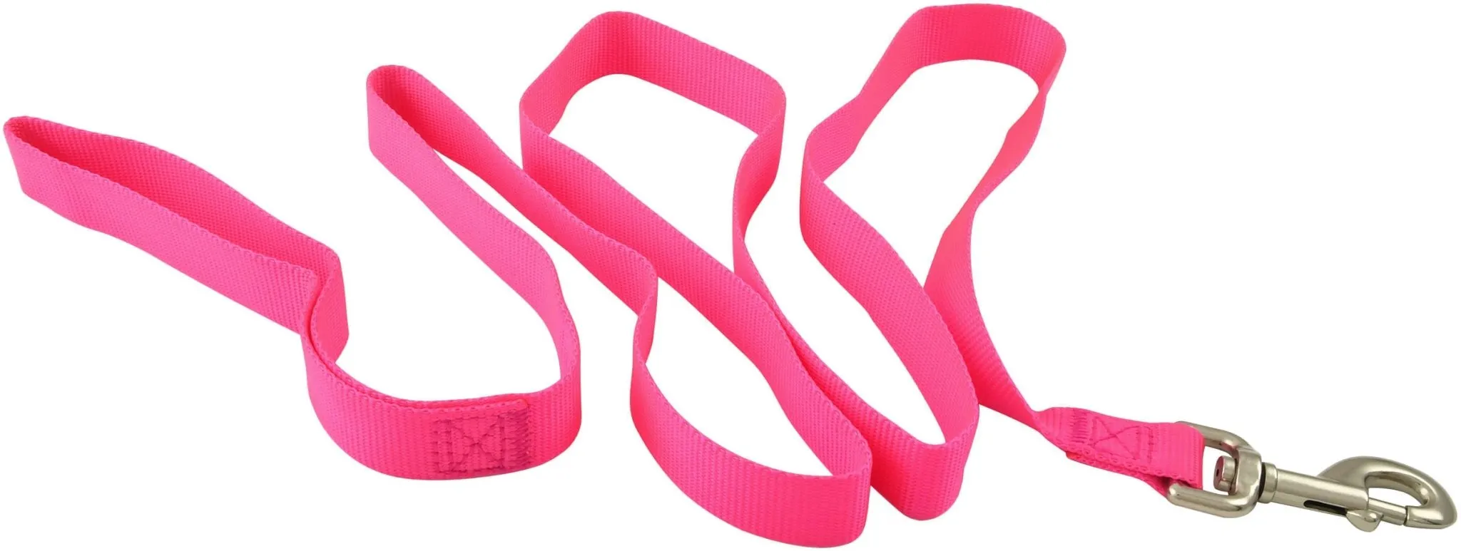 5/8" Nylon Dog Leash, 4' L