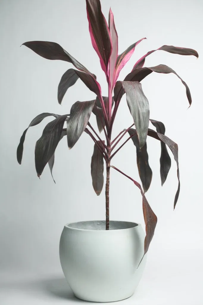 Concrete Planter - Volta