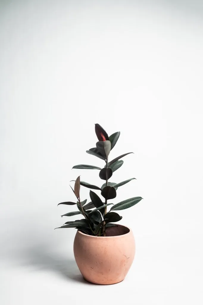 Concrete Planter - Volta
