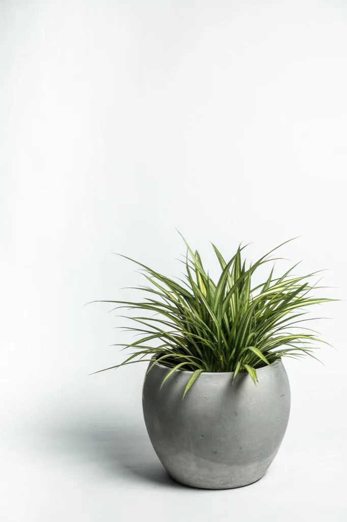 Concrete Planter - Volta