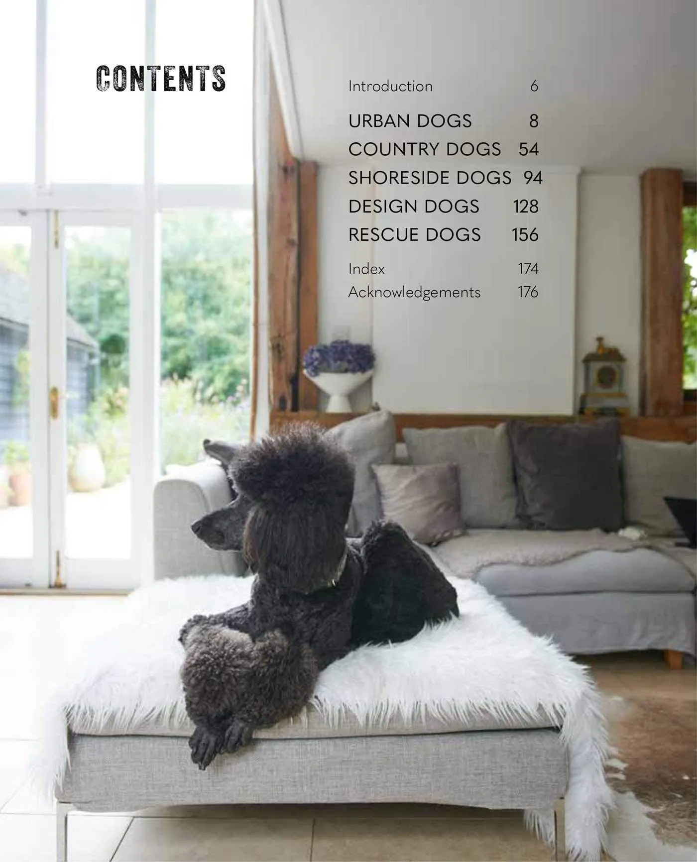 Cool Dogs Cool Homes: Living in Style with Your Dog
