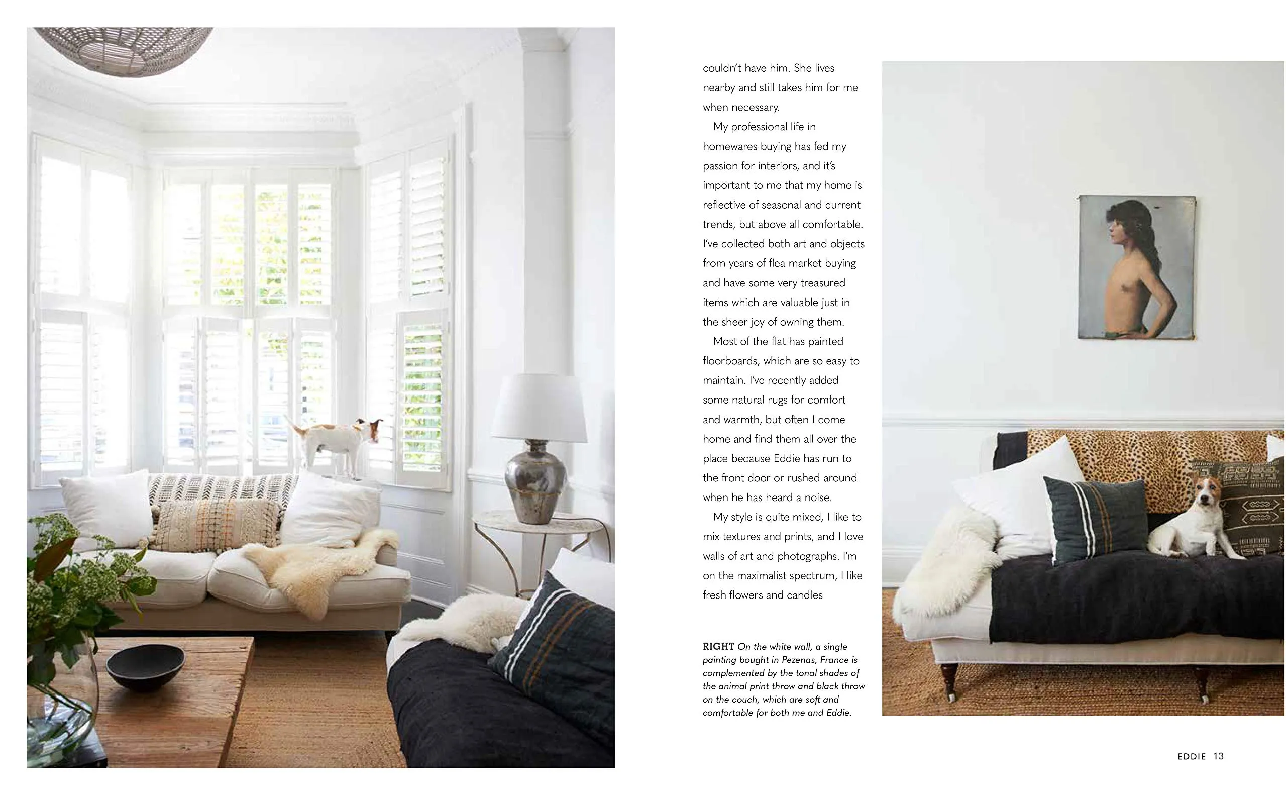Cool Dogs Cool Homes: Living in Style with Your Dog