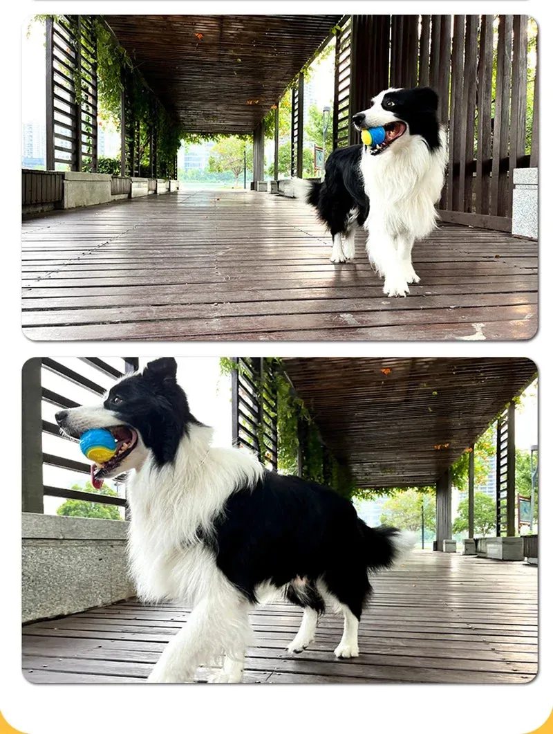 Dog Toys Soft TPR Toys for Dog Pet Teeth Cleaning Bite Resistance Squeaky Dog Ball Toy Dogs Interactive Toys
