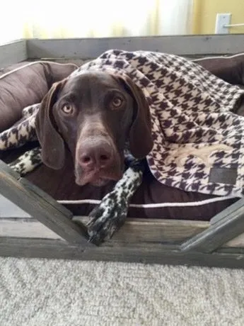 Houndstooth Blanket