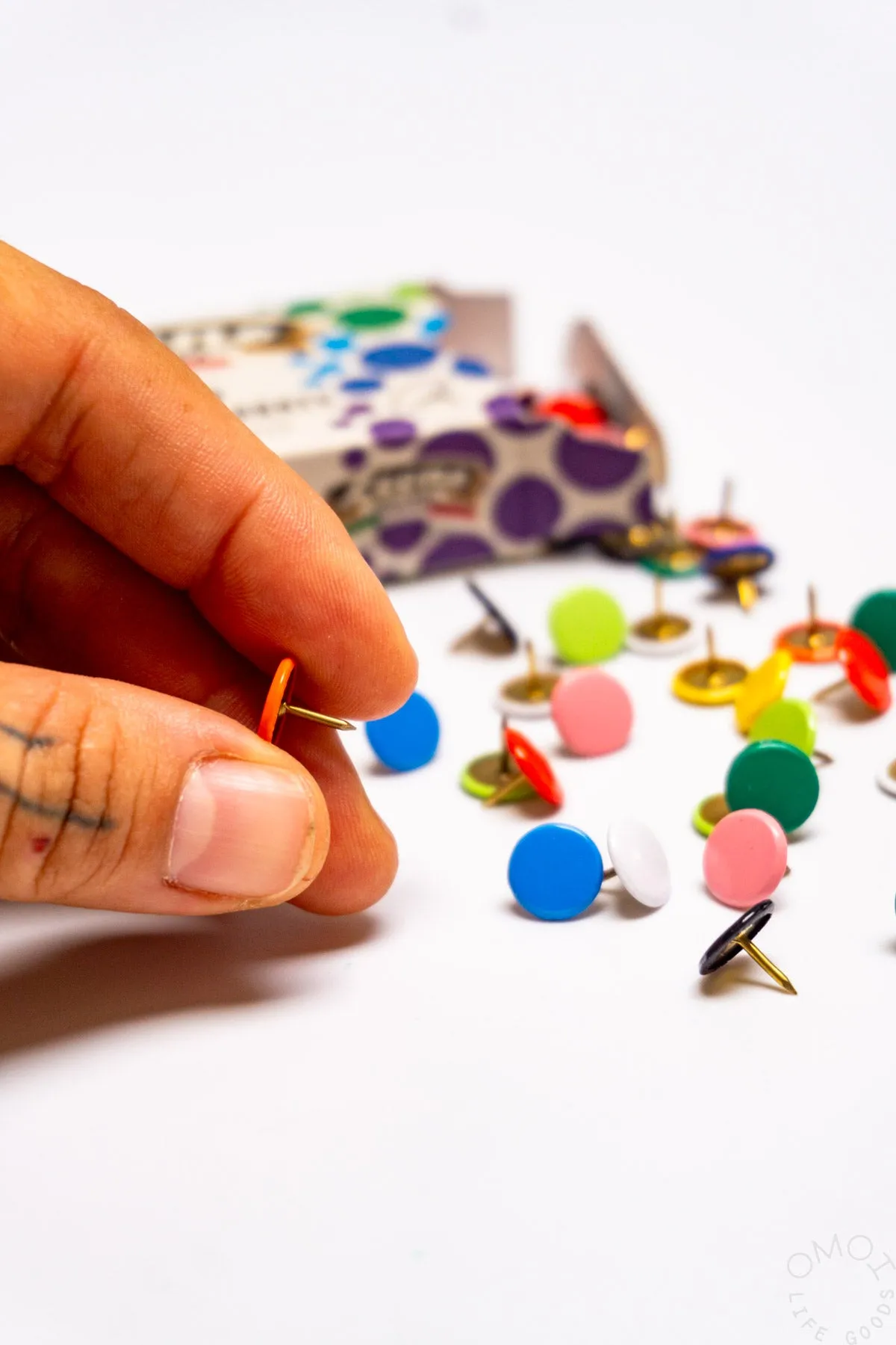 Leone Dell'Era Assorted Color Push Pins
