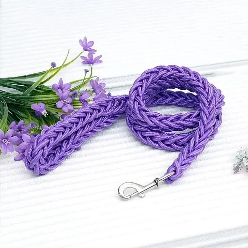 Nylon Dog Harness Leash