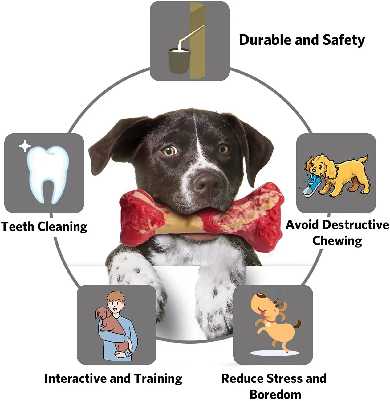 QUMY Dog Chew Toys Squeaky Bone