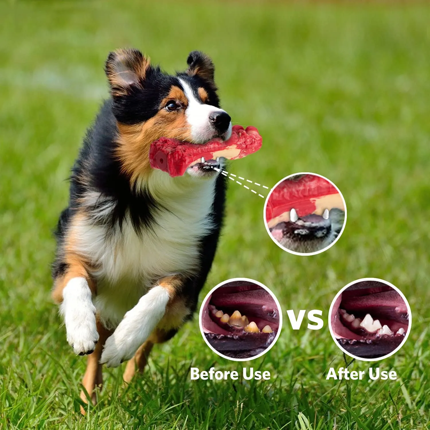 QUMY Dog Chew Toys Squeaky Bone