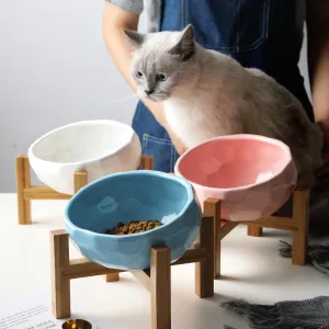 Tilted Elevated Raised Ceramic oblique bucket mouth cat dog food bowl